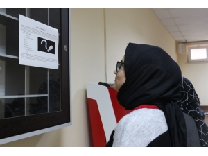 Üniversitelilere Tuz Uyarısı