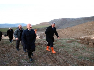 Eski Kömür Sahasına 10 Bin Fidan Dikilecek