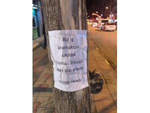 Afyonkarahisar’da İlginç İş Arama İlanı