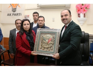 Çiftçi Ak Parti Bozova Teşkilatı İle Bir Araya Geldi