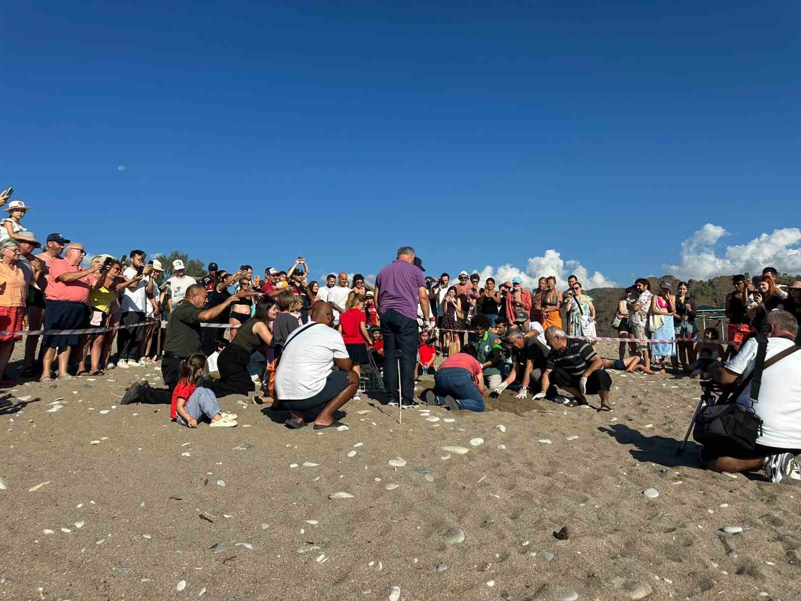 kemer-de-son-caretta-caretta-yuvasi-acildi