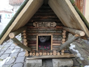 Köydeki Evsiz Kediler İçin Kendi İmkanlarıyla Kulübe Yaptı