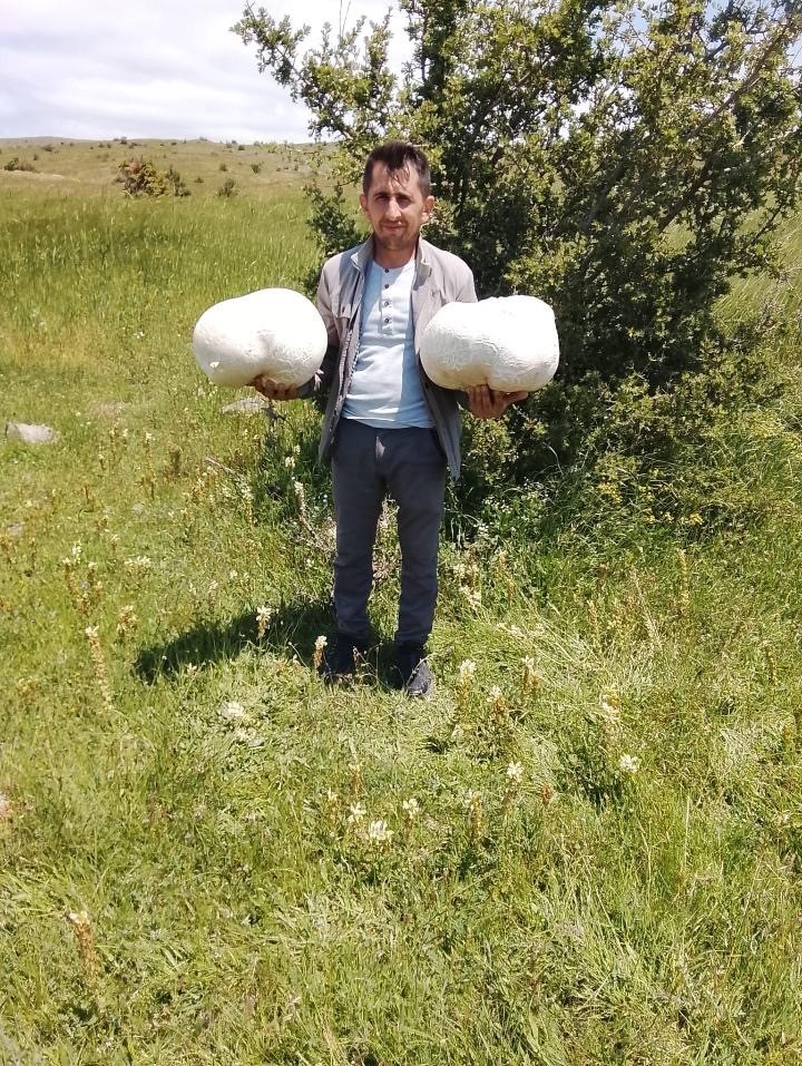 dogada-20-kiloluk-mantar-buldu