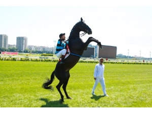 ’Bold Pilot’ Gişede Şaha Kalktı