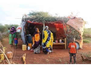 Yiyecek Bulabilmek İçin Ölüyorlar