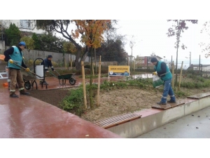 Parkların Bakım Ve Onarım Çalışmaları Sürüyor