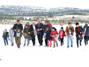 Öğrenciler Yaban Hayatı İçin Doğaya Yiyecek Bıraktı