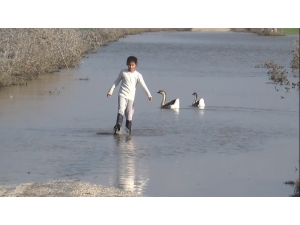 Amik Ovası Sular Altında