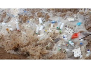 Zirai Tarım İlaçları Doğada Ölüm Saçıyor