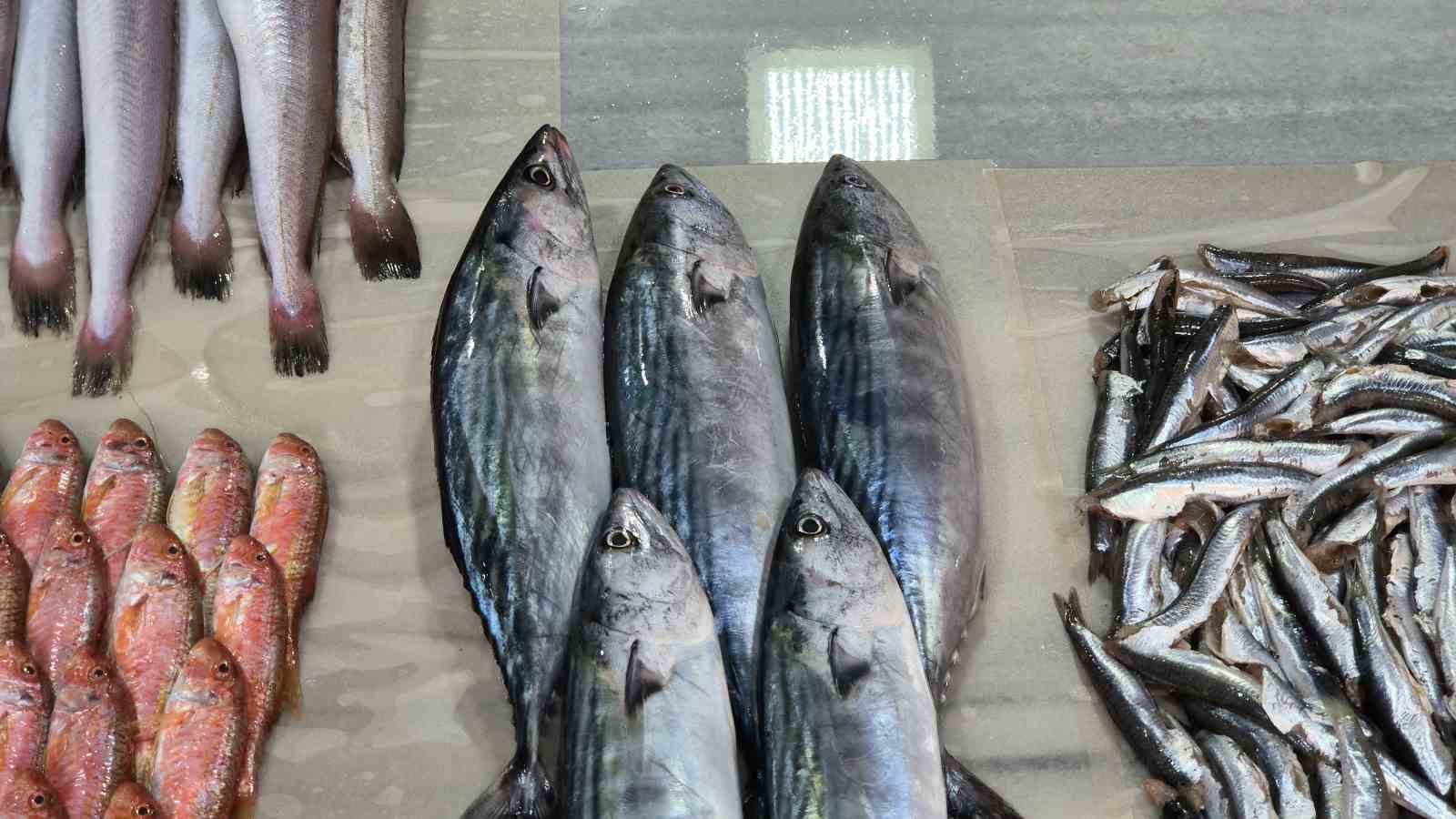 sezonun-ilk-palamutlari-tezgaha-geldi-balikcilarin-yuzu-guldu