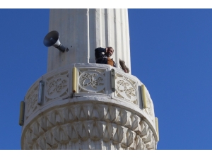 Telefonla Konuşmak İçin Buz Gibi Havada Çatılara Ve Ağaçlara Çıkıyorlar