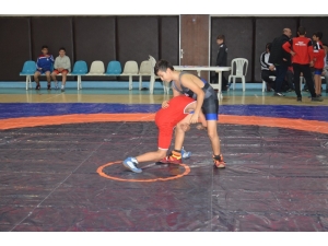 Yıldızlar Serbest Güreş Kış Turnuvası