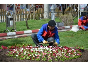Dursunbey’de Kişi Başına 25 Metrekare Yeşil Alan Düşüyor