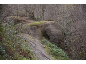 Ordu’daki ‘Fil Kayası’ Görenleri Şaşırtıyor