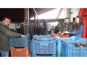 Portakallı Zeytinyağı İlgi Görüyor