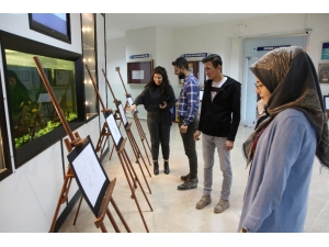 Üniversite Öğrencilerden Karikatür Sergisi