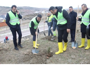 Çankırı Belediyesi Bin 500 Fidanı Toprakla Buluşturdu
