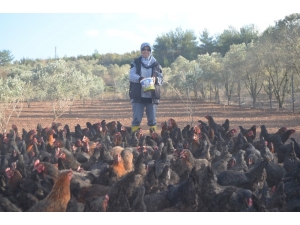 Hobisini Gelir Kapısına Çevirdi