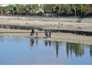 Oksijensiz Kalan Balıklar Su Yüzüne Çıktı, Fırsatçılar Nehre Akın Etti