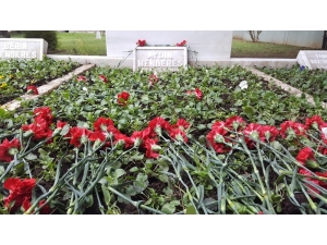 Bakan Soylu, Aydın Menderes’i Anma Törenine Katıldı