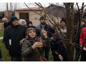 Budama Eğitimleri Devam Ediyor