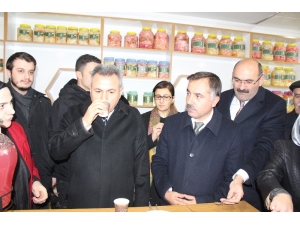 Kadınların Ürettiği Organik Turşular Satışa Sunuldu