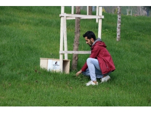 Gençlerden Kedileri Isıtacak Çalışma