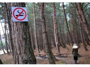 Omü Adım Adım “Dumansız Yeşil Kampüs” Olacak