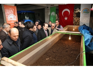 Vali Pehlivan Solucan Gübresi Üretim Tesisinde İncelemelerde Bulundu