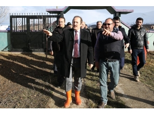 Vali Pehlivan: “Genç Çiftçi Projesi İle Son İki Yılda 340 Çiftçimize 10.2 Milyon Tl Hibe Desteği Sağlandı”