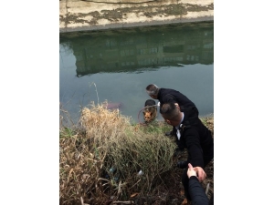 Su Kanala Düşen Köpek Kurtarıldı