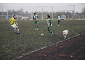 Amatör Maçta Sürpriz Misafir