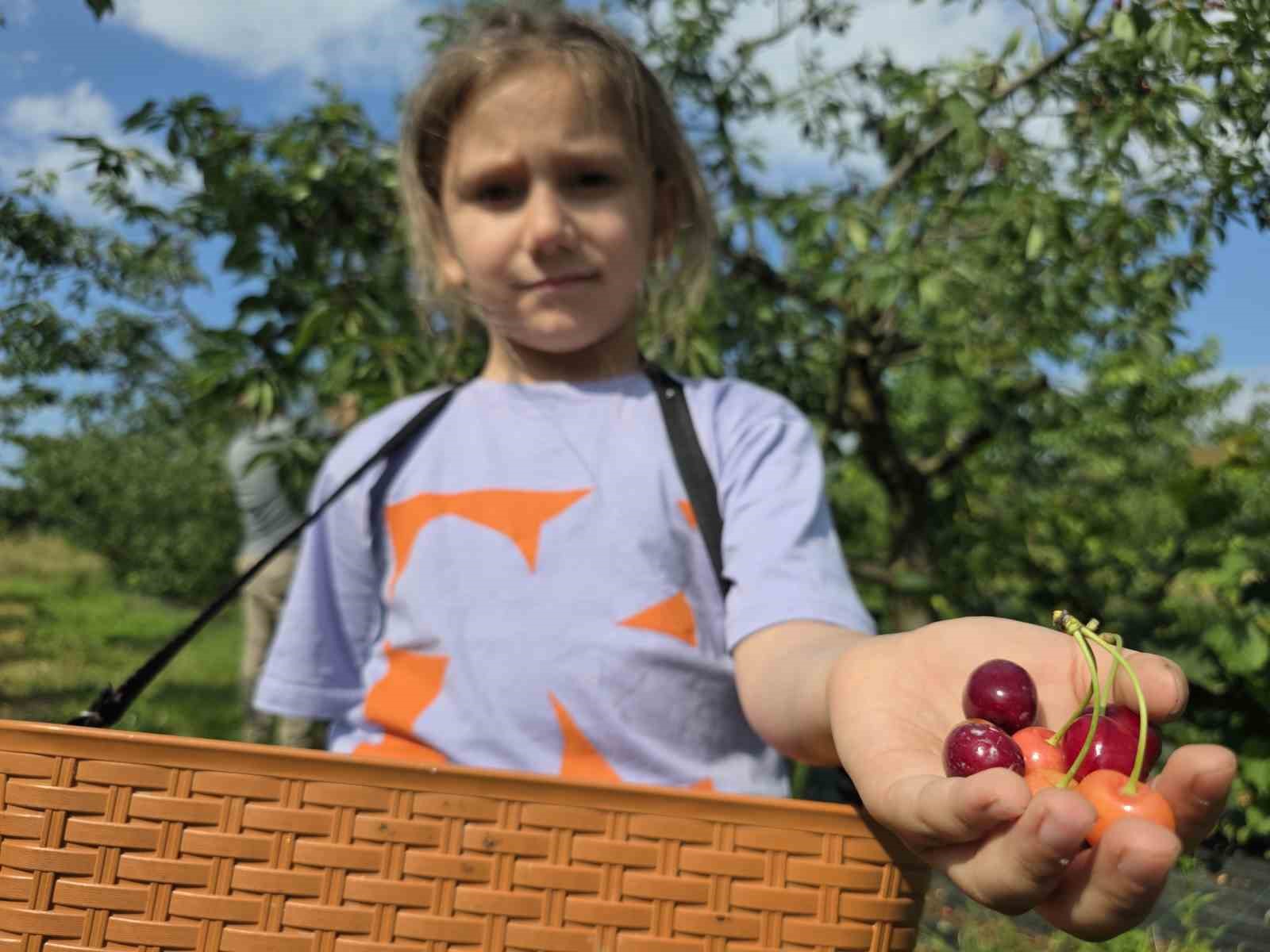 440-agaclik-kiraz-bahcesi-ziyaretcilerini-gecmise-goturuyor