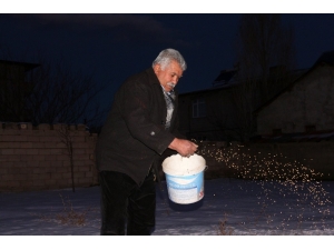 Yazın Satın Aldığı Buğdayı Kışın Kuşlara Yediriyor