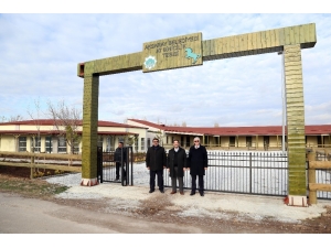 Başkan Yazgı At Binicilik Tesisinde İncelemelerde Bulundu