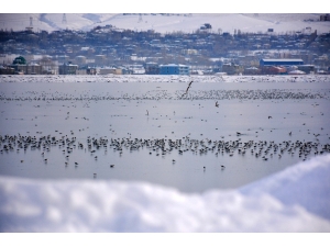 Sıhke Gölü Buz Tuttu