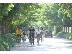 Yeşil Üniversite: Ege