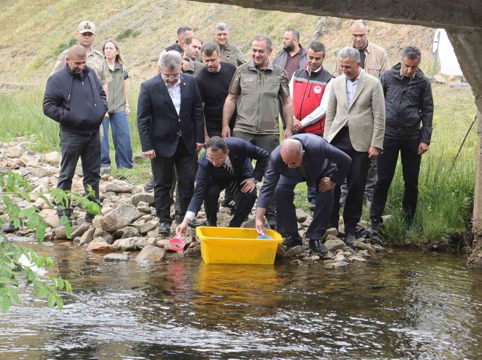 ordu-da-35-bin-dogal-alabalik-dereye-birakildi