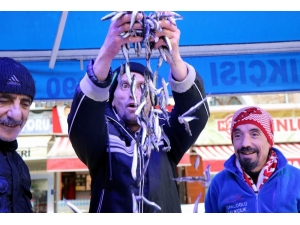 Karadeniz’de Balık Azaldı Ama Talep Azalmadı