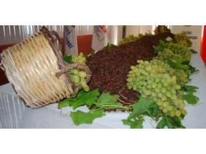 Çekirdeksiz Sofralık Ve Kuru Üzümün Merkezi Manisa