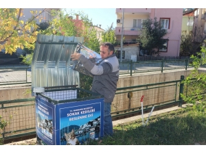 Marmaris’te Sokak Kedileri Aç Kalmıyor