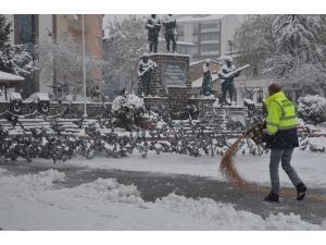 Bozüyük’te Sokak Hayvanları Yalnız Değil