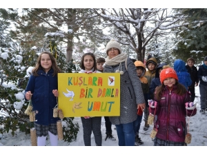Şuhutlu Minik Öğrencilerin Kuşlara Yem Bırakma Heyecanı