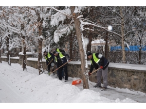 Palandöken Belediyesi Kar Temizleme Çalışmalarına Devam Ediyor