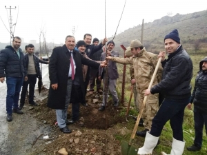 Çüngüş Belediyesinden Ağaçlandırma Seferberliği