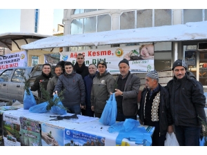 "Yıl Başında Ağaç Kesme Fidan Dik" Kampanyası