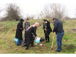 Kyk’lı Öğrenciler Kalan Yemeklerle Sokak Hayvanlarını Besledi