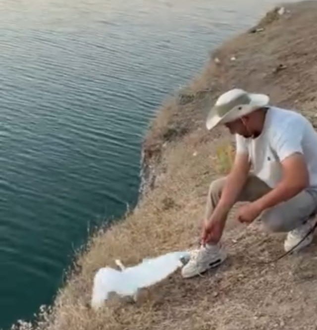 malatya-da-oltaya-balik-yerine-marti-takildi