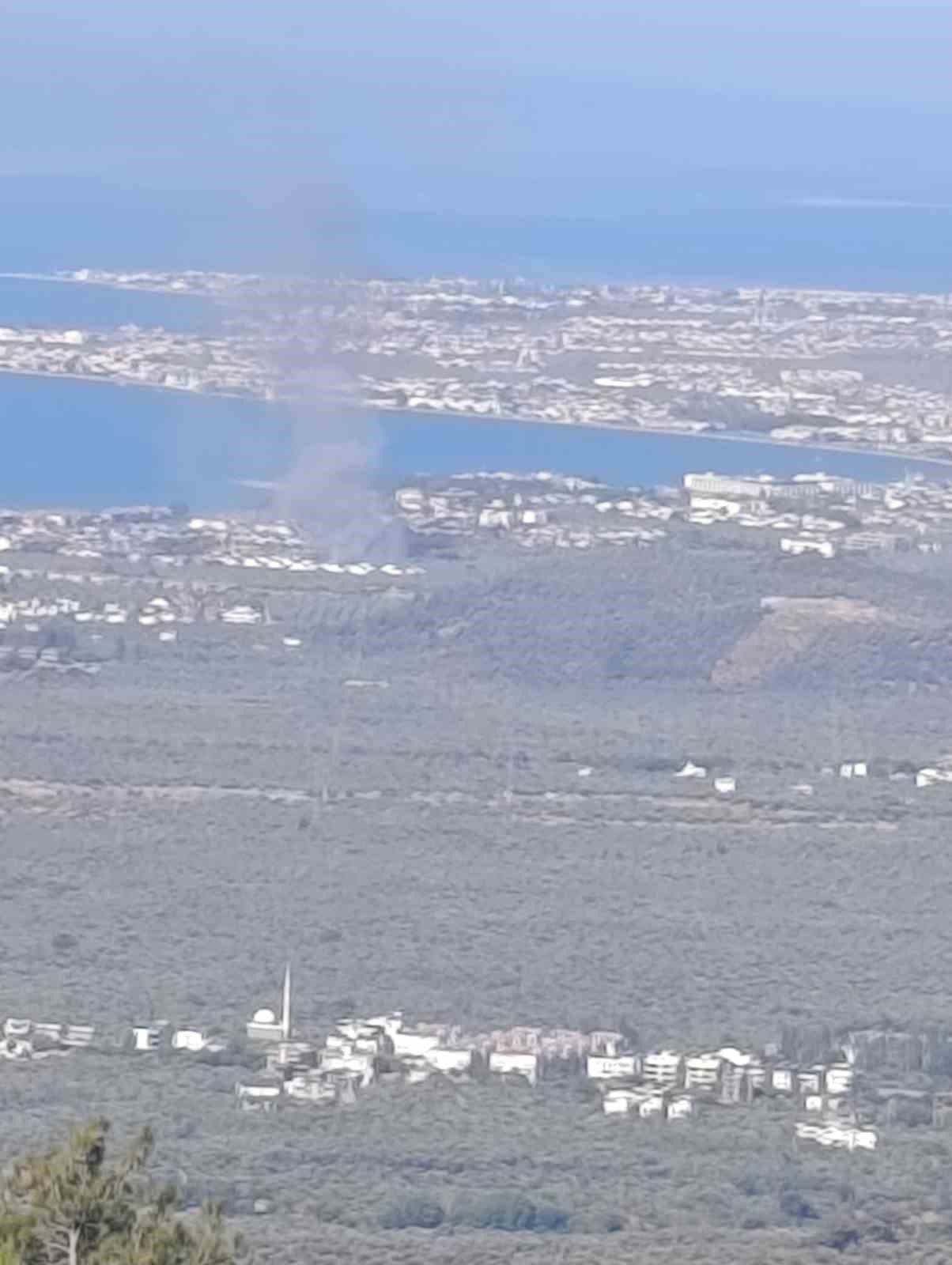 edremit-teki-zeytinlik-yangini-kontrol-altina-alindi