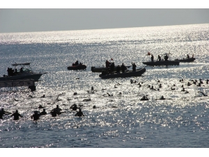 Açık Su Yüzme Yarışlarında Soğuk Suda Yüzdüler